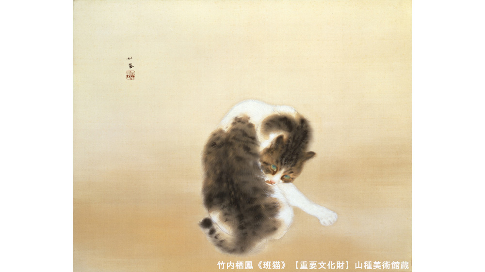 特別展 竹内栖鳳 班猫 とアニマルパラダイス 過去に開催された展覧会 山種美術館