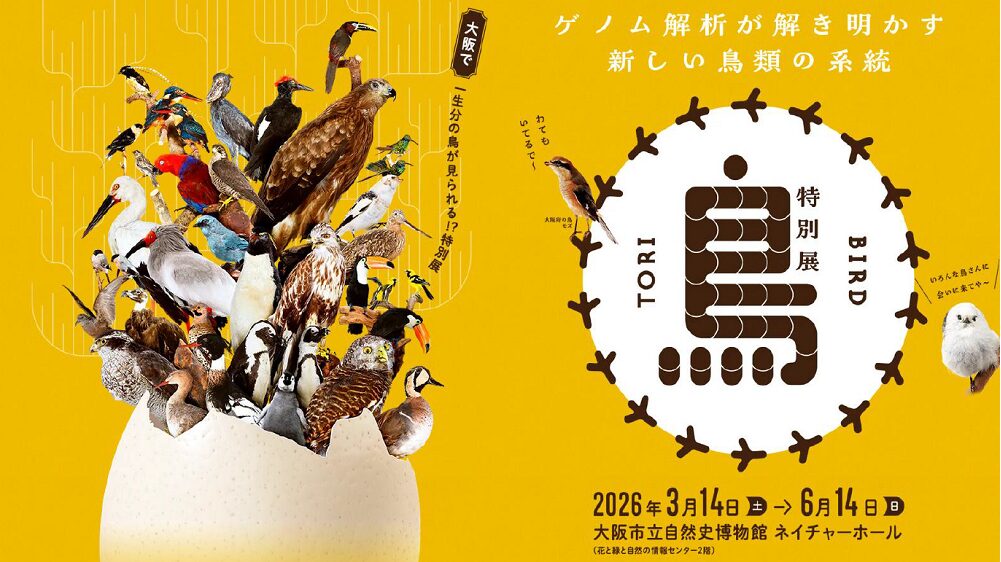 【大阪展】特別展「鳥」